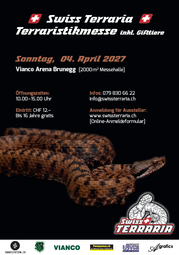 Flyer front deutsch