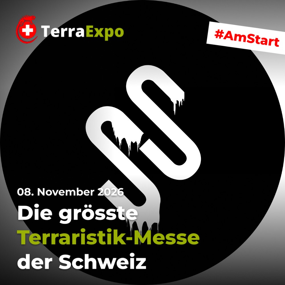 event-promo-image (1)